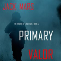 Primary_Valor